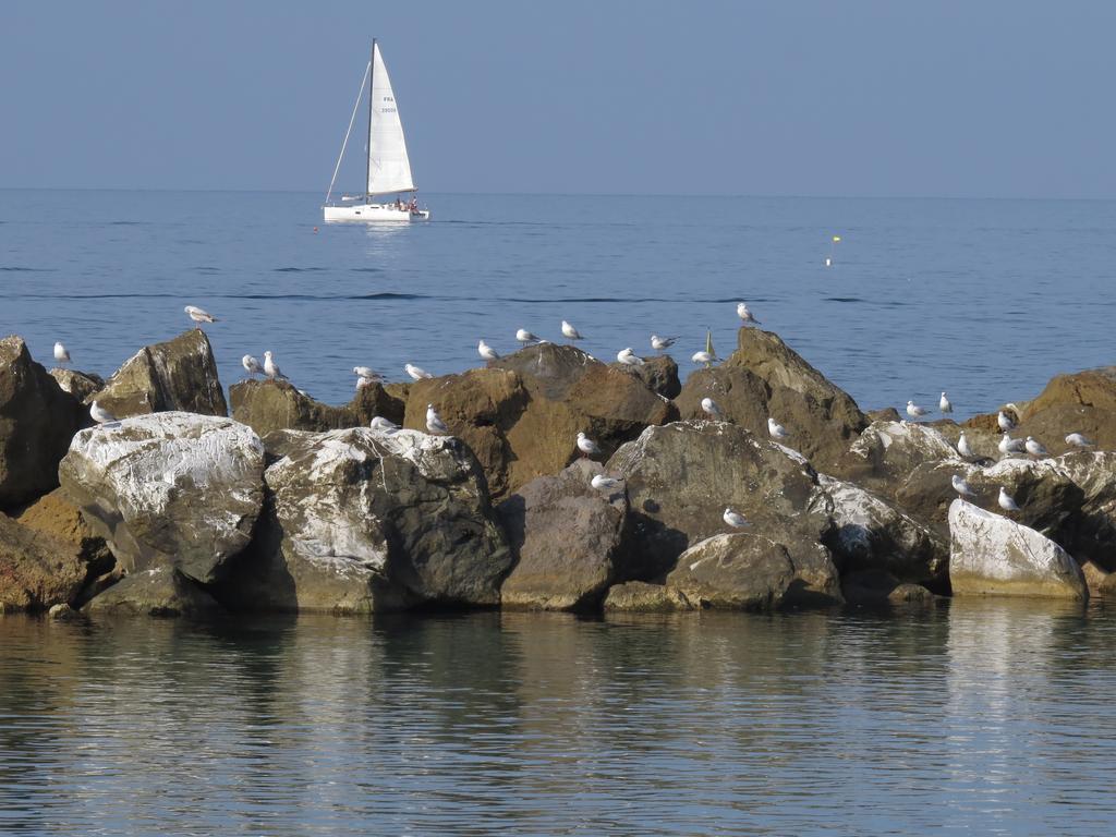 Villino Ermione Hotell Marina Di Pisa Eksteriør bilde